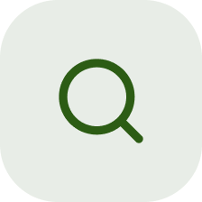 Dark green search icon with magnifying glass